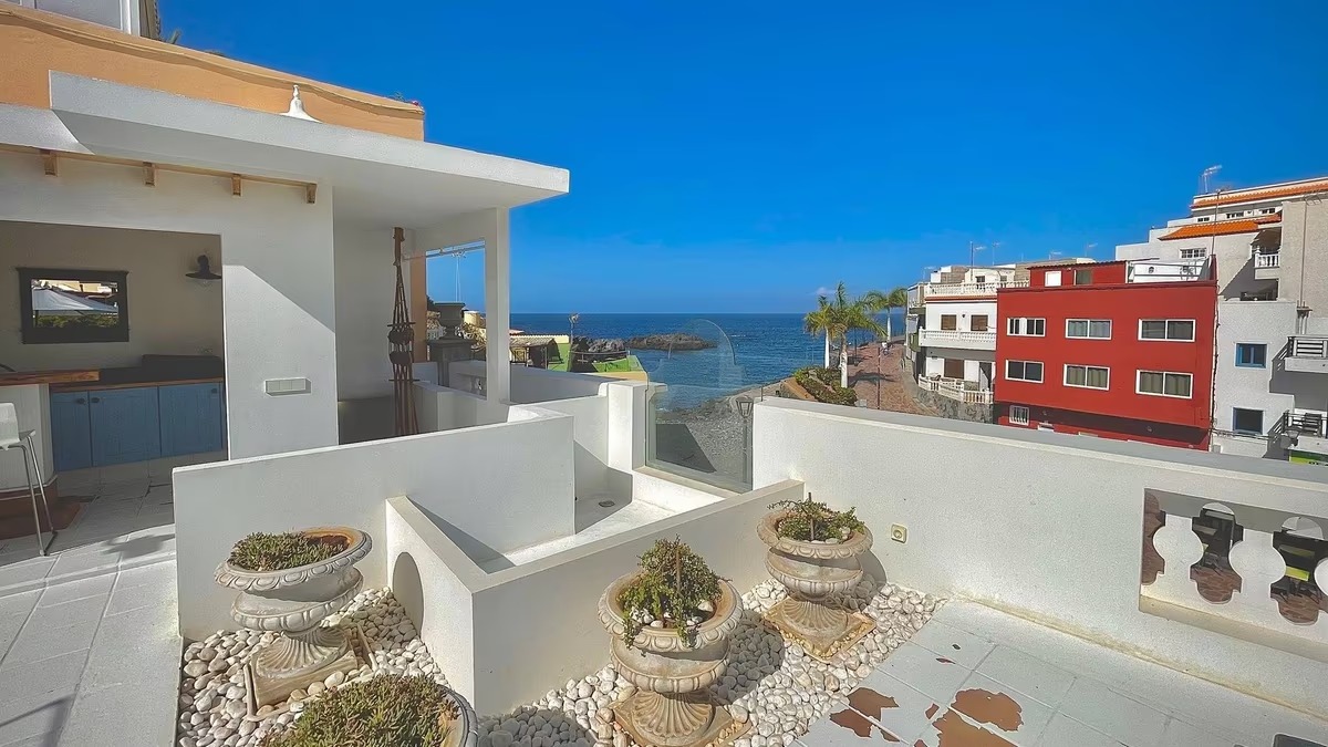 Expert assistance in immigration